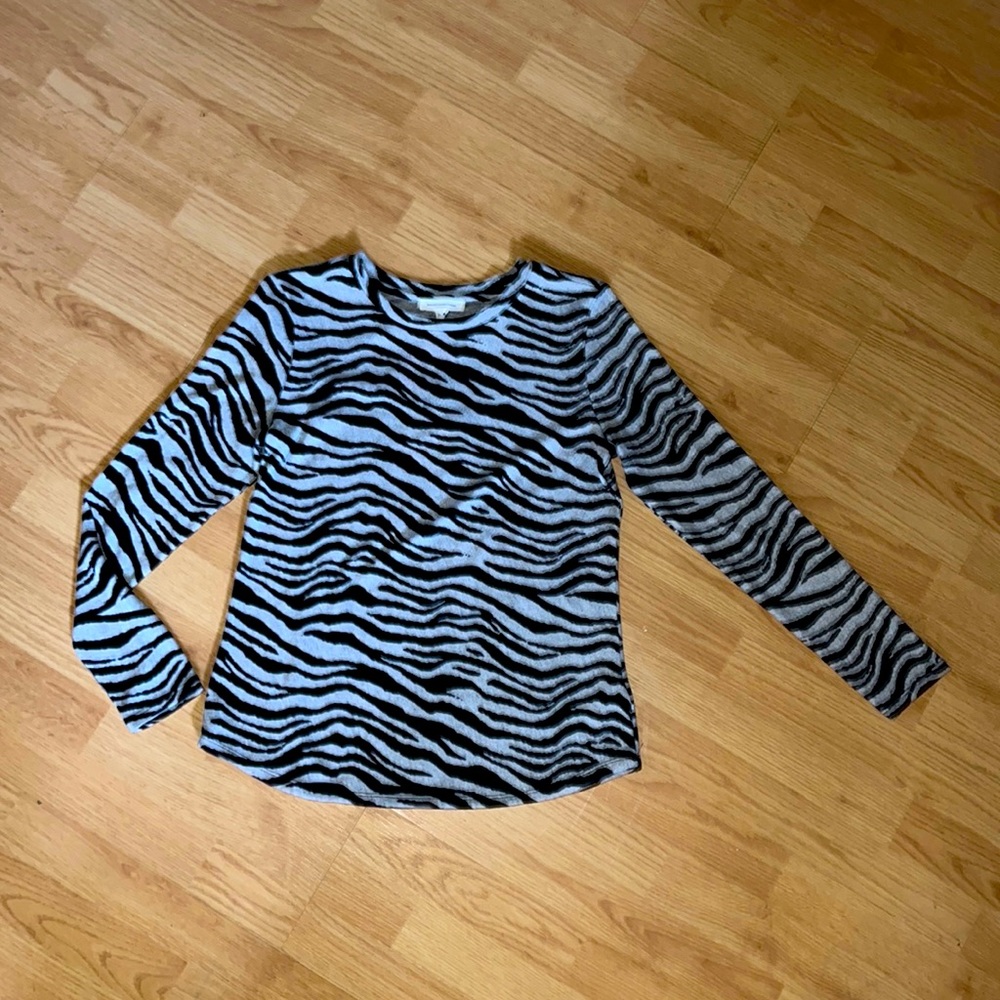 Slate 🦓 print